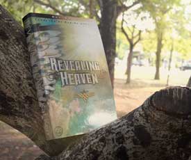 Buy Revealing Heaven