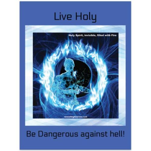 Live Holy Poster
