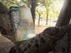Revealing-Heaven-Book