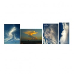 hosts-series-bookshelf